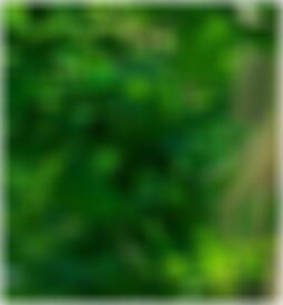 Bornheim Sexpartner finden Edith