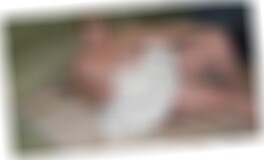 Brühl Sex Kontakte AylinQj