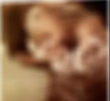 Greven Sexpartnerin finden Jovan