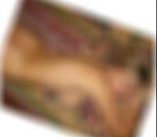Sexkontakte Delmenhorst Lesleelr