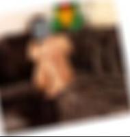 Sexpartnerin finden Falkensee Martina
