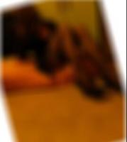 Swinger Kontakte Bernau bei Berlin Verline