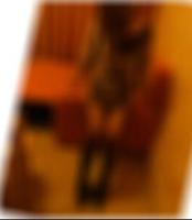 Swinger Kontakte Bernau bei Berlin Verline