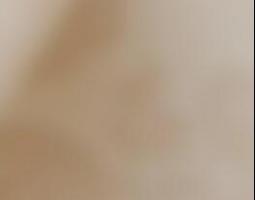 Swinger Kontakte in Gifhorn MajaDf
